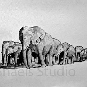 Meet your Posher, Dara